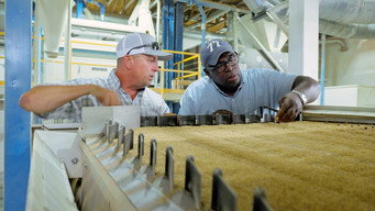 Grass Seed Facility, Porch Swing episode still image