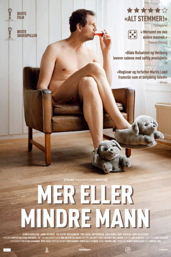 Okładka filmu Mer eller mindre mann