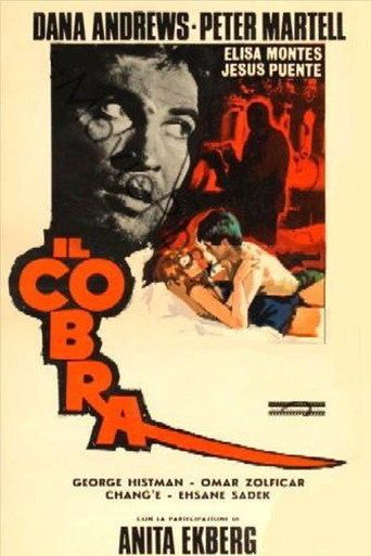 Il cobra 在线观看和下载完整电影