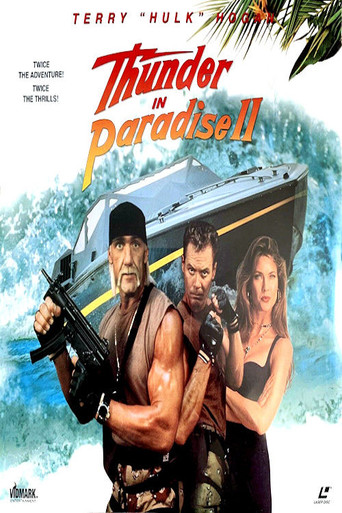 Thunder in Paradise 2 在线观看和下载完整电影