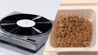 Direct Drive Turntables / Natto