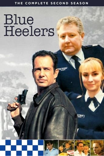 Blue Heelers