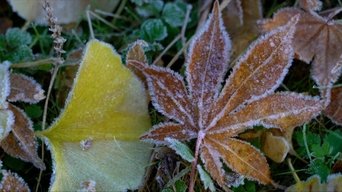 Beginning of Winter (Rittou)