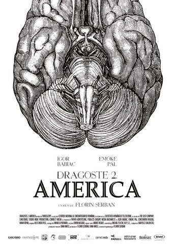 Dragoste 2. America線上电影看完整版
