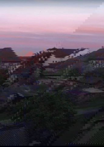 Peafowls Flew Away and Took My Thoughts With Them