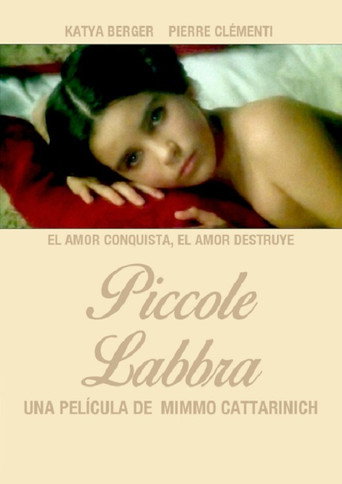 Piccole labbra 在线观看和下载完整电影
