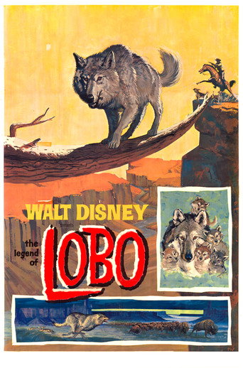 The Legend of Lobo 在线观看和下载完整电影