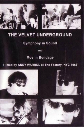 The Velvet Underground and Nico 在线观看和下载完整电影