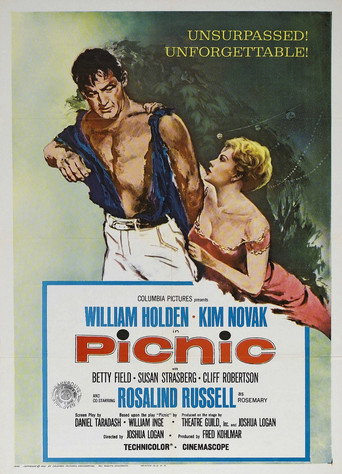 Picnic 在线观看和下载完整电影