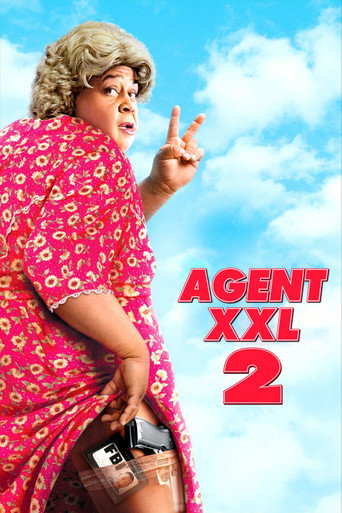 Okładka filmu Agent XXL 2