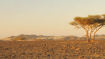 Egyptian Adventure
