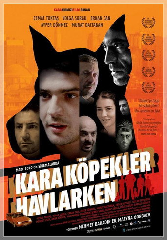 Okładka filmu Kara Köpekler Havlarken