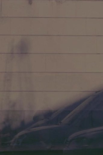 The Captured Light of an Instant