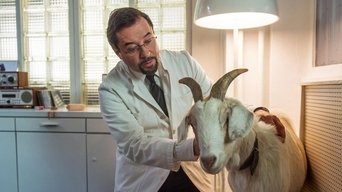 The Miracle of Wolbeck