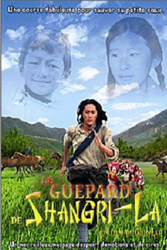 Wild Horse from Shangri-La 在线观看和下载完整电影