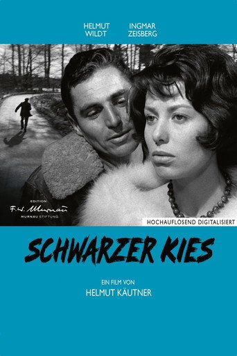 Okładka filmu Schwarzer Kies