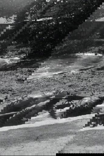 Guadeloupe, le pays des Belles-Eaux