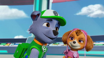 Pups Save Adventure Bakes