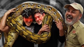 2 Idiots Get Crushed by 18-Foot Giant Snakes