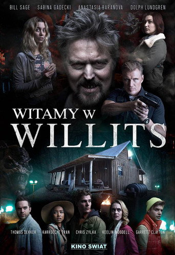 Okładka filmu Witamy w Willits