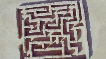 The Maze