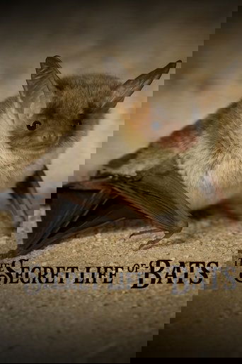 The Secret Life of Bats