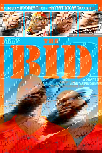 The Bid