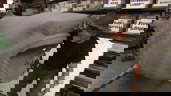 Shark Week Special