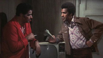 The Ho Chi Minh Trail