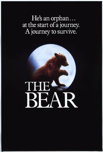 L'Ours 在线观看和下载完整电影