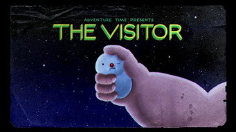 The Visitor