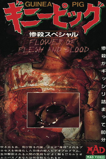 ギニーピッグ2 血肉の華 在线观看和下载完整电影