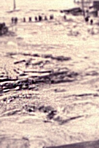 Disaster on Kurenivka