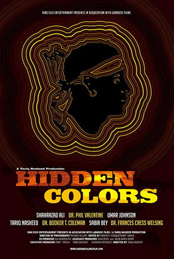 Hidden Colors 在线观看和下载完整电影