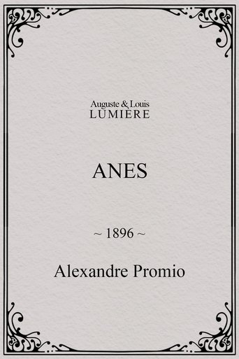 Anes