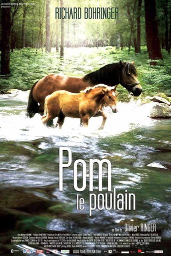 Pom, le poulain 在线观看和下载完整电影