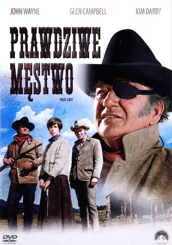 Okładka filmu Prawdziwe męstwo