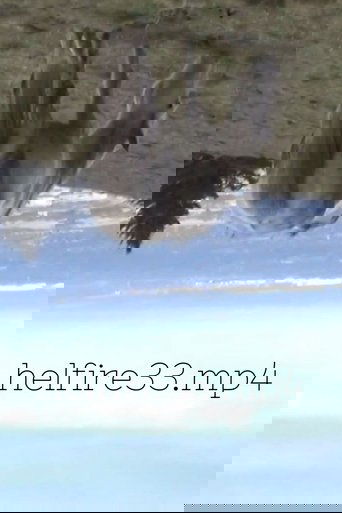 hellfire33.mp4
