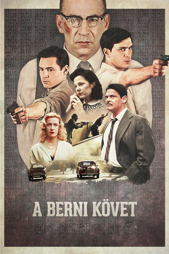 Okładka filmu Ambasador w Bernie