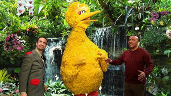 Big Bird’s Big Move episode still image