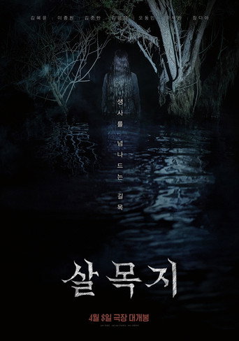 Okładka filmu Salmokji: Whispering Water