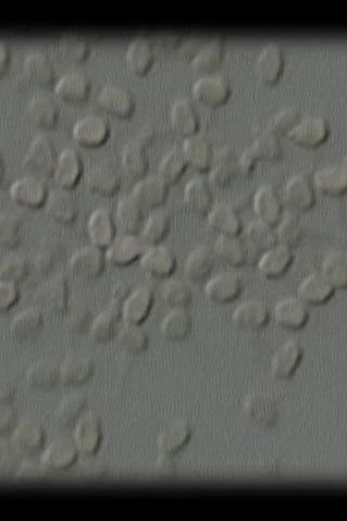 Let Me Count the Ways: 10...9…8…7…6