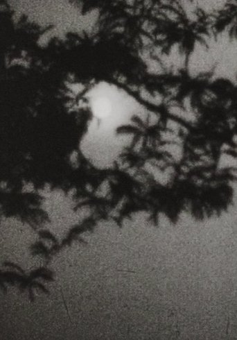 Moonplay