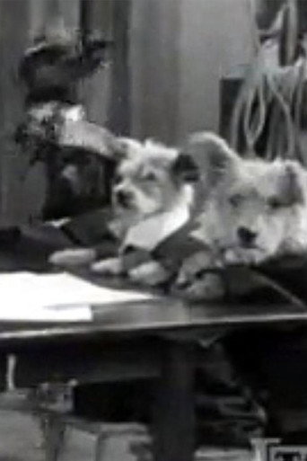 The Two Barks Brothers 在线观看和下载完整电影