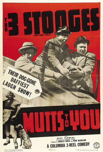 Mutts to You 在线观看和下载完整电影
