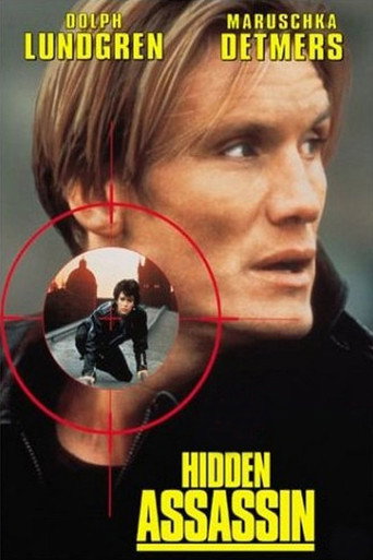 Hidden Assassin 在线观看和下载完整电影