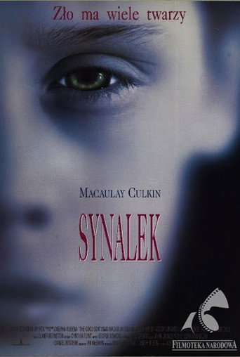 Okładka filmu Synalek