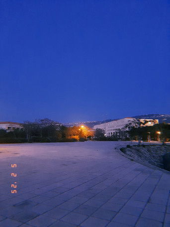 Late spring early summer