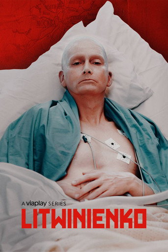 Okładka serialu Litwinienko