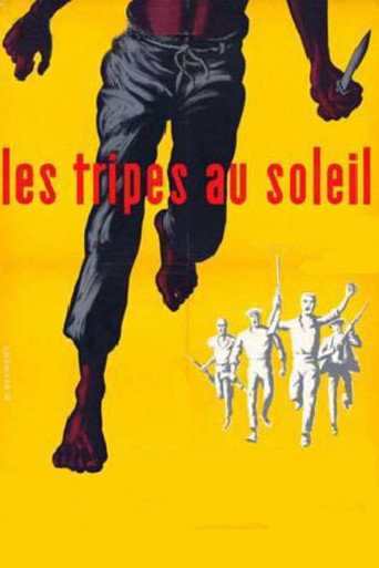 Okładka filmu Les tripes au soleil